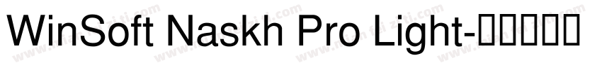 WinSoft Naskh Pro Light字体转换